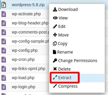 extract file trên cpanel