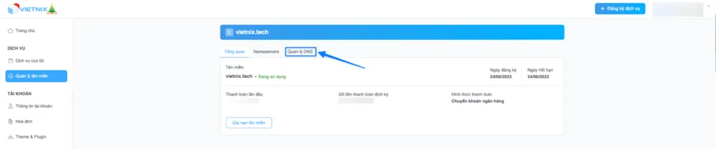 Nhấn chọn Quản lý DNS
