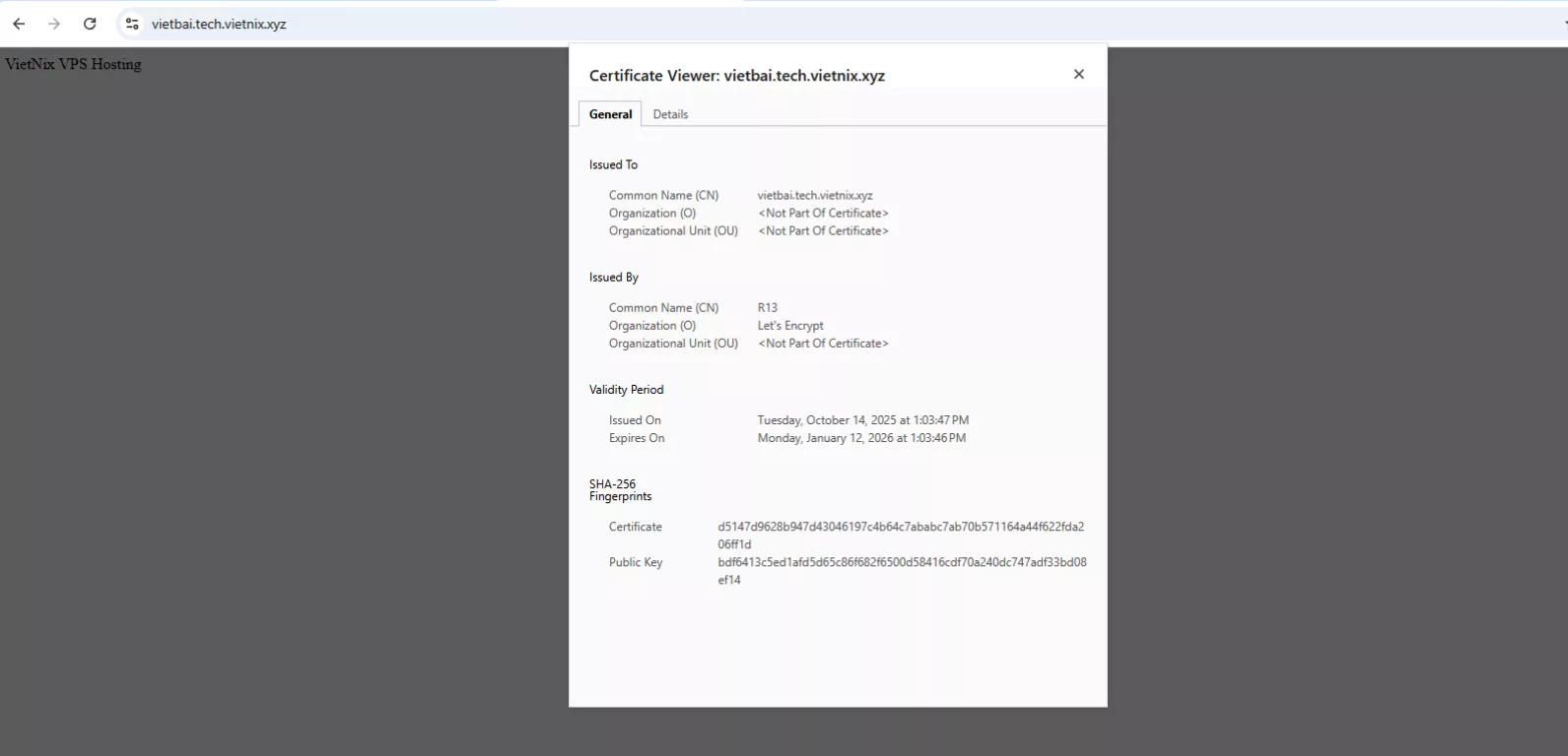SSL hoạt động  