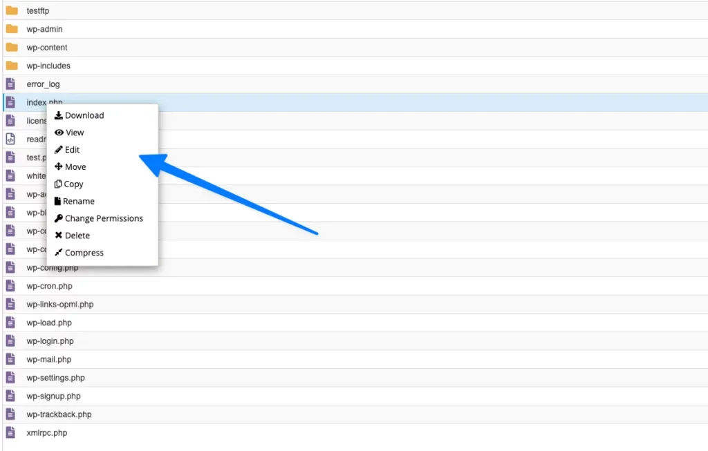 Mở file index.php để chỉnh sửa