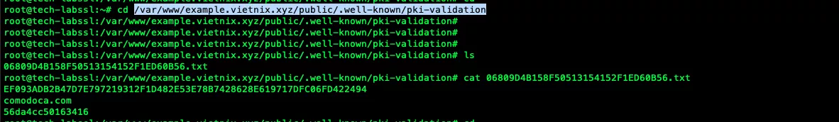 Upload file xác thực