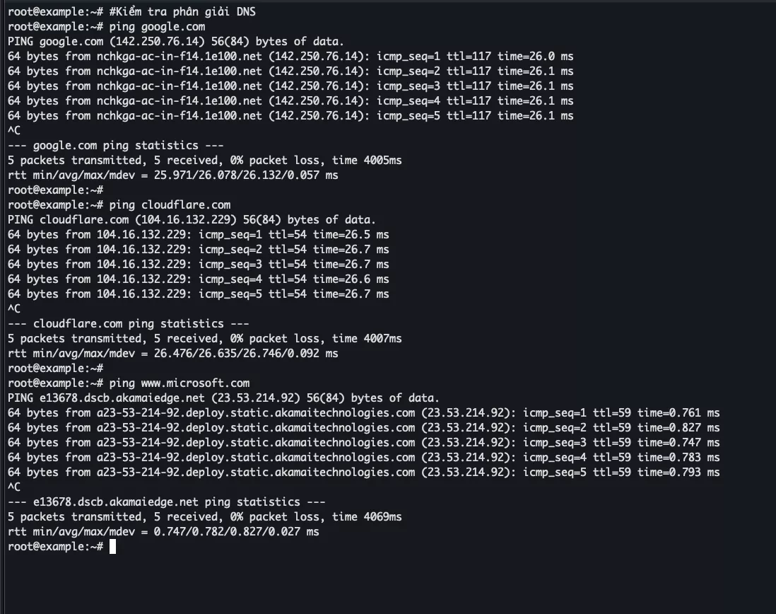 Kiểm tra phân giải DNS 