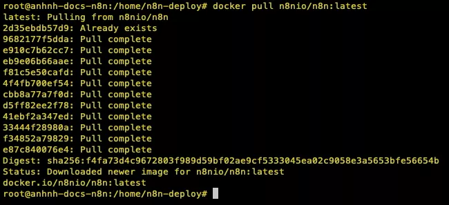 Tải phiên bản mới nhất từ Docker Hub