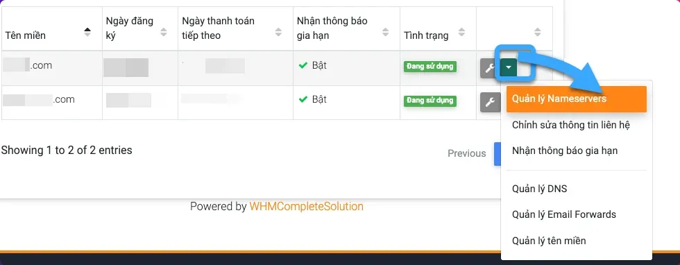 Chọn Quản lý Nameservers
