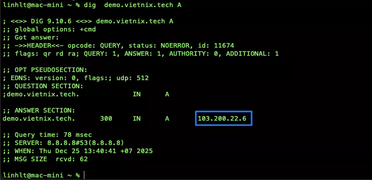Kiểm tra DNS domain  
