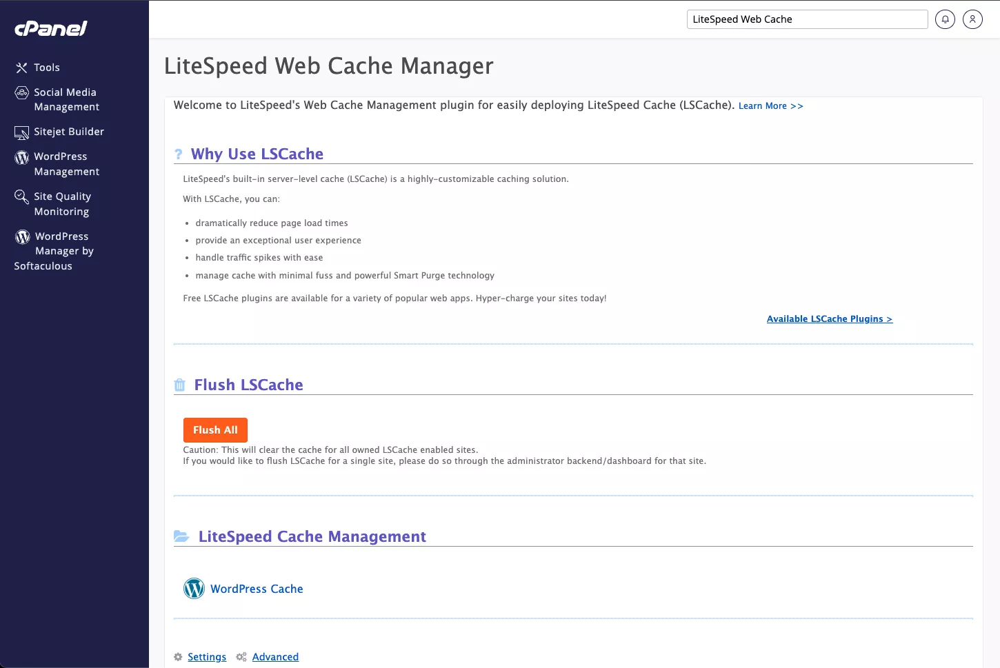 Giao diện LiteSpeed Cache Manager với nút Flush All 