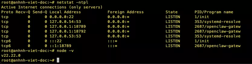 Cài đặt OpenClaw 