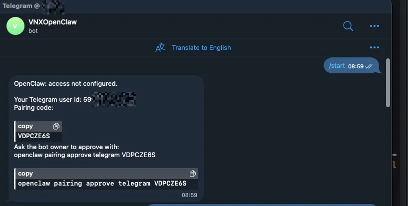 Gửi một tin nhắn bất kỳ cho bot Telegram